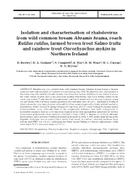 Isolation and Characterisation of Rhabdovirus from Wild Common