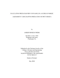 ASSESSMENT USING RAPTOR PREDATION on PREY MIMICS By