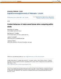 Contest Behaviour of Maize Weevil Larvae When Competing Within Seeds