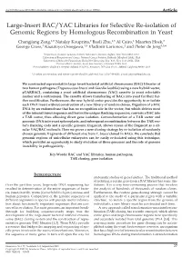 Large-Insert BAC/YAC Libraries for Selective Re-Isolation of Genomic Regions by Homologous Recombination in Yeast