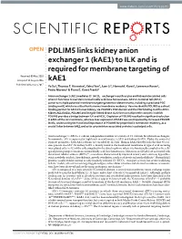 PDLIM5 Links Kidney Anion Exchanger 1 (Kae1) to ILK and Is Required For