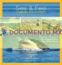 Capture the Moment Scenic Routes