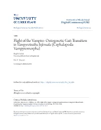 Flight of the Vampire: Ontogenetic Gait-Transition in Vampyroteuthis Infernalis (Cephalopoda: Vampyromorpha) Brad A