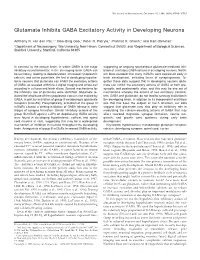 Glutamate Inhibits GABA Excitatory Activity in Developing Neurons