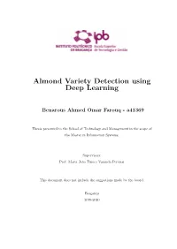Almond Variety Detection Using Deep Learning