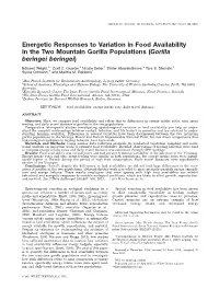 Energetic Responses to Variation in Food Availability in the Two Mountain Gorilla Populations (Gorilla Beringei Beringei)