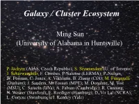 Galaxy / Cluster Ecosystem