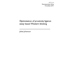 Optimization of Proximity Ligation Assay Based Western Blotting