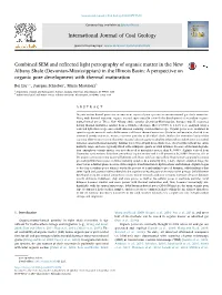 Combined SEM and Reflected Light Petrography of Organic Matter in The