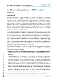 Merit Order of Energy Storage by 2030 – Executive Summary