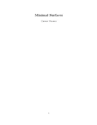 Minimal Surfaces