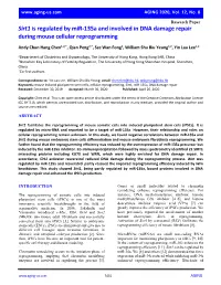 Sirt1 Is Regulated by Mir-135A and Involved in DNA Damage Repair During Mouse Cellular Reprogramming