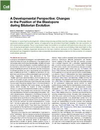Changes in the Position of the Blastopore During Bilaterian Evolution