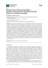 Jamaican Fruit Bats (Artibeus Jamaicensis) Do Not Show Prosocial Behavior in a Release Paradigm
