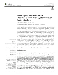Phenotypic Variation in an Asexual-Sexual Fish System: Visual Lateralization