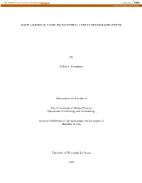 South American Camelids in Central Andean Religious Practices
