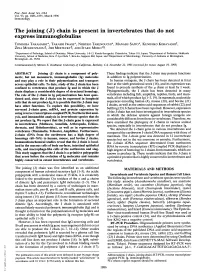The Joining (J) Chain Is Present in Invertebrates That Do Not Express