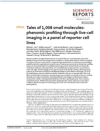 Phenomic Profiling Through Live-Cell Imaging in a Panel of Reporter Cell