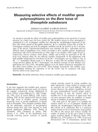 Polymorphisms on the Bare Locus of Drosophila Sub Obscura
