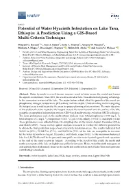 Potential of Water Hyacinth Infestation on Lake Tana, Ethiopia: a Prediction Using a GIS-Based Multi-Criteria Technique