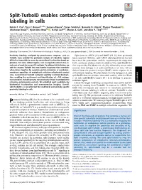 Split-Turboid Enables Contact-Dependent Proximity Labeling in Cells