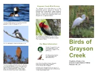 Grayson Creek Bird Survey