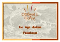 Ice Age Animal Factsheets