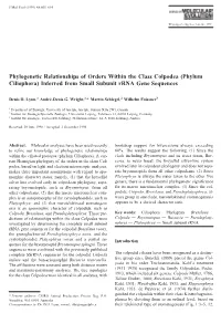 Phylogenetic Relationships of Orders Within the Class Colpodea (Phylum Ciliophora) Inferred from Small Subunit Rrna Gene Sequences