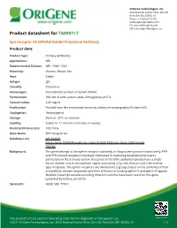 Eph Receptor A4 (EPHA4) Rabbit Polyclonal Antibody Product Data