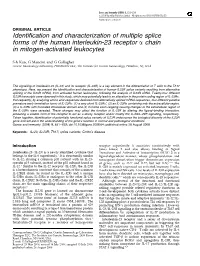 Identification and Characterization of Multiple Splice Forms of the Human Interleukin-23 Receptor a Chain in Mitogen-Activated Leukocytes