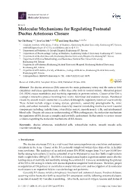 Molecular Mechanisms for Regulating Postnatal Ductus Arteriosus Closure