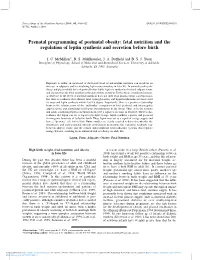 Prenatal Programming of Postnatal Obesity: Fetal Nutrition and the Regulation of Leptin Synthesis and Secretion Before Birth
