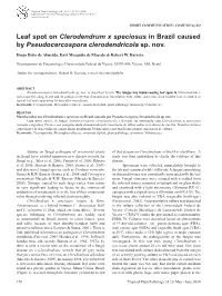 Leaf Spot on Clerodendrum X Speciosus in Brazil Caused by Pseudocercospora Clerodendricola Sp