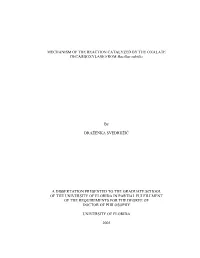 MECHANISM of the REACTION CATALYZED by the OXALATE DECARBOXYLASE from Bacillus Subtilis