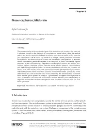 Mesencephalon; Midbrain Mesencephalon; Midbrain