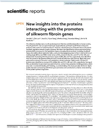 New Insights Into the Proteins Interacting with the Promoters Of