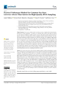 Practical Euthanasia Method for Common Sea Stars (Asterias Rubens) That Allows for High-Quality RNA Sampling