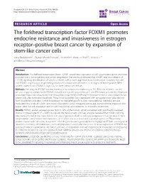 The Forkhead Transcription Factor FOXM1 Promotes Endocrine
