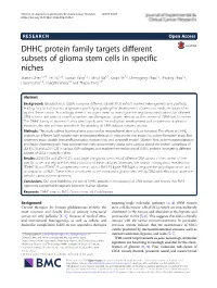 DHHC Protein Family Targets Different Subsets of Glioma Stem Cells In