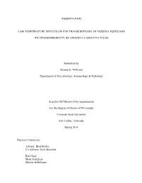 Dissertation Low Temperature Effects On