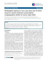Rhabdophis Tigrinus Is Not a Pit Viper but Its Bites Result in Venom-Induced