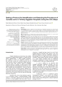 Setting a Protocol for Identification and Detecting the Prevalence of Candida Auris in Tertiary Egyptian Hospitals Using the CDC Steps
