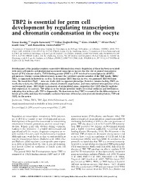 TBP2 Is Essential for Germ Cell Development by Regulating Transcription and Chromatin Condensation in the Oocyte