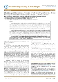 Multilineage Differentiation Potential of CNS Cell Progenitors in a Recent
