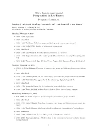 Perspectives in Lie Theory Program of Activities
