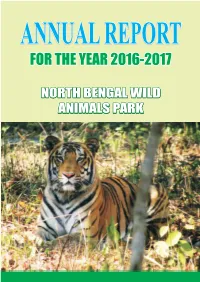 Annual Report