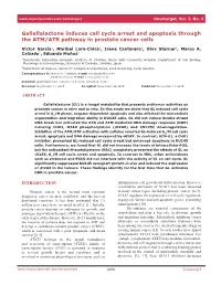 Galiellalactone Induces Cell Cycle Arrest and Apoptosis Through the ATM/ATR Pathway in Prostate Cancer Cells