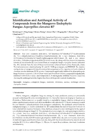 Identification and Antifungal Activity of Compounds from the Mangrove