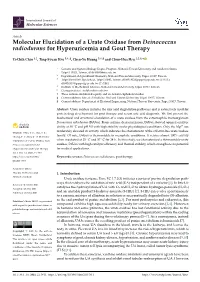 Molecular Elucidation of a Urate Oxidase from Deinococcus Radiodurans for Hyperuricemia and Gout Therapy