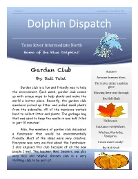 Dolphin Dispatch